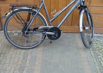 Rower trekkingowy Pegasus