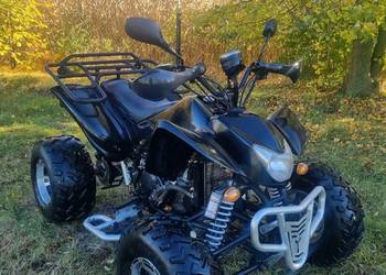 Quad Egl Lyda 250cc 4+1R Duża Rama Ciecz  Zarejestrowany!