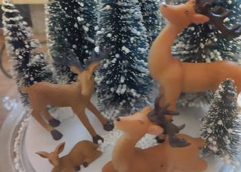 Magiczna Kula Śnieżna