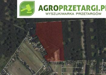 Dzierżawa 7,19 ha gruntu rolnego