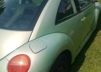 VW Beetle