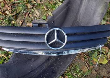 Grill Atrapa Mercedes w169