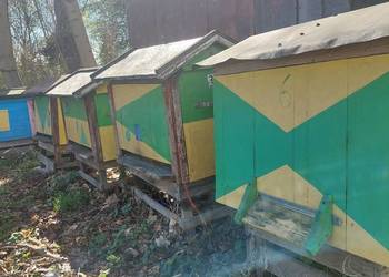 Sprzedam ule warszawskie urzywane