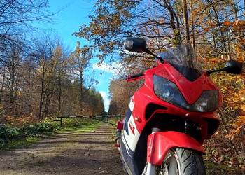 Honda CBR F4i 600 OKAZJA