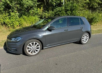 Volkswagen Golf VII (2012-)