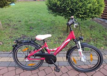 Rower dzieciecy Pegasus