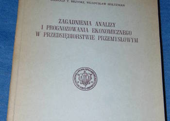 Zagadnienia analizy i prognozowania ekonomicznego w przedsiębiorstwie