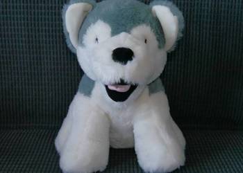 Maskotka piesek husky jak nowy