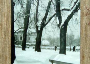 WIDOK NA PARK ZASYPANY ŚNIEGIEM