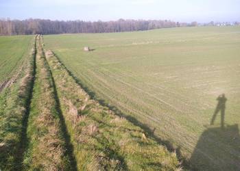 Dwie działki z warunkami zabudowy