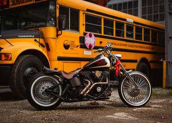 Harley-Davidson Softail Weekend Project