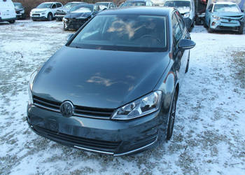 Volkswagen Golf VII (2012-)