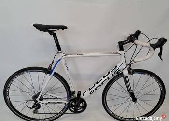 szosowy FOCUS Cayo carbon / szosa/ WYPRZEDAŻ -40%