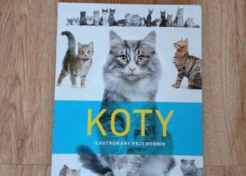 KOTY. Ilustrowany przewodnik (KSIĄŻKA)