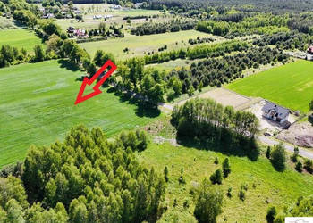 Grunt 1533m2 Chlewiska