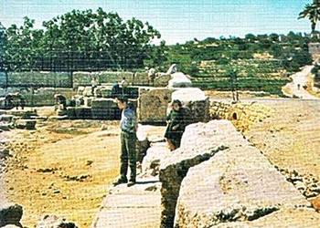STARY TESTAMENT Historia zbawienia - Don Paolo Crivellaro
