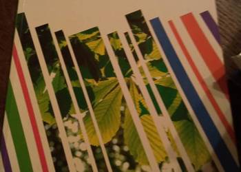 Oxford repetytorium matura podstawowa