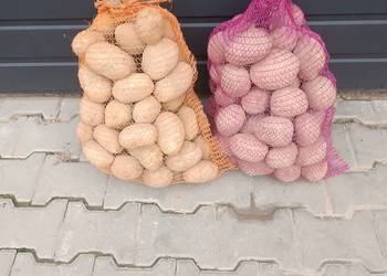 Sprzedam ziemniaki Bellarosa,Otolia