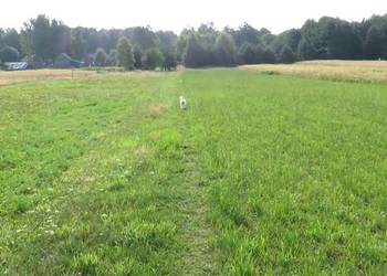 Działki rekreacyjne  Roztocze w okolicach Krasnobrodu już od 10 tyś