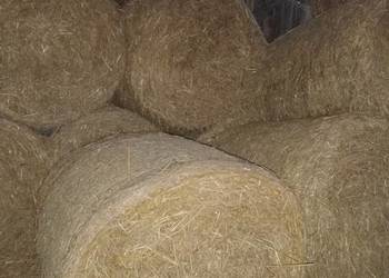 Sprzedam słomę pszenna i pszenżytnia