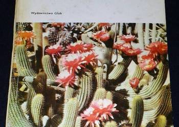 Uprawa kaktusów - Stanisław Hinz,  Mieczysław Abramowicz