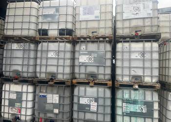 mauzery po farbach wodnych