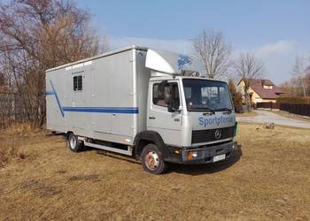 Mercedes 814 *koniowóz* *do przewozu koni* *do przewozu zwierząt*