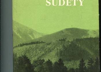 Sudety - Walczak