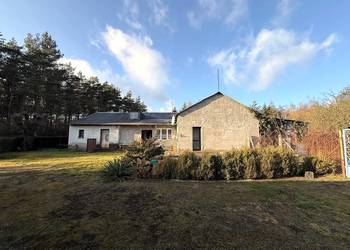 Dom z dużą działką i lasem w Nowinach  Brdowskich