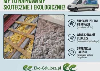 NAPRAWA DACHU PO KUNACH  ocieplanie celulozą TERMOWIZJA