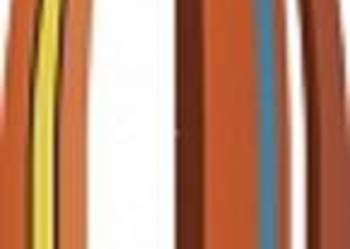 Pociski Hornady 7mm (.284) InterBond 154grs 28309 (100szt)