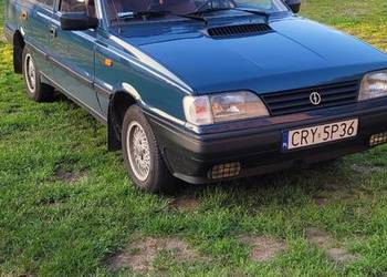 Polonez caro
