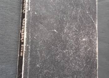 Zbigniew Nienacki. Wielki las. PIW, 1987 r. Wydanie I.