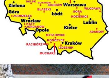 Sprzedam Bażanty Kiśćce Tajwańskie Swinhoe (Bażant) z 2026r. WYSYŁAM