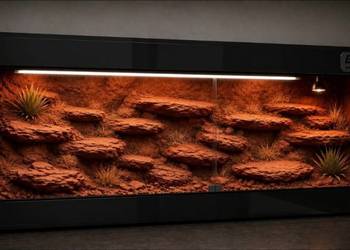 Terrarium hodowlane dla żółwia greckiego agamy brodatej