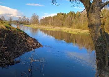 Dziewicza działka z linią brzegową rzeki Wkry 0,5 ha