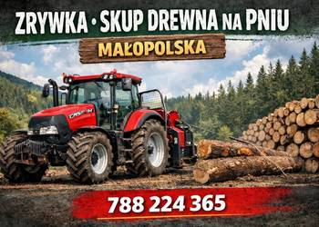 Skup drewna na Pniu zrywka Małopolska