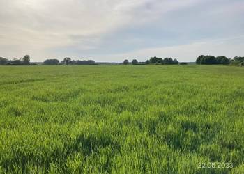 Działka rolna w m. Brodno,gm.Środa Śląska, woj.dolnośląskie, pow. 15,45 ha