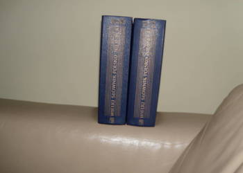 Wielki Słownik Polsko-Niemiecki 1 i 2 tom