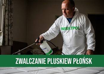 Zwalczanie Pluskiew Płońsk - Odpluskwianie, Dezynsekcja