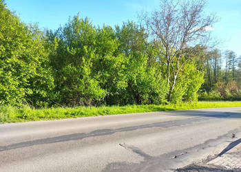 Grunt na sprzedaż Motycz 2200m2