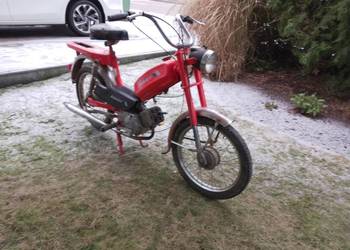 Romet Kadet M780W Palacy