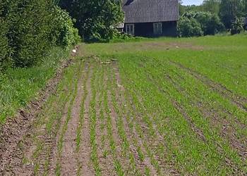 Siedlisko