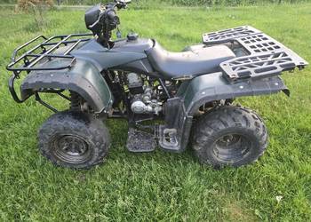 Quad 250 ATV wał kardana przekładnia z biegiem wstecznym CAŁOŚĆ lub CZĘŚCI
