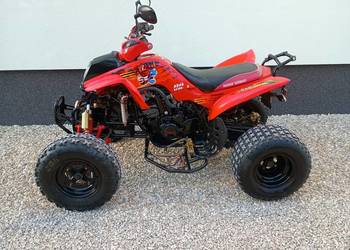 Bashan 250