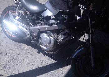 Honda developer 650