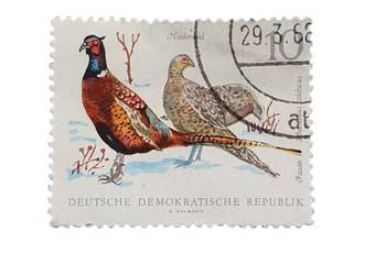 Stary znaczek pocztowy NRD ok. 1968 Bażant pospolity kasowany Niemcy unikat