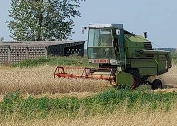 kombajn claas