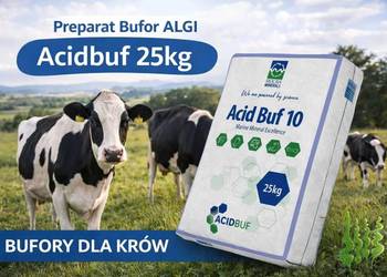 Preparat Bufor ALGI Acidbuf dla bydła krów bufory krowy 1000 kg