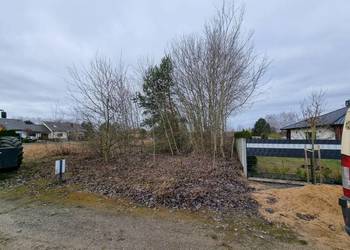 Mulczowanie, Wycinka drzew, Czyszczenie terenów zielonych, Karczowanie